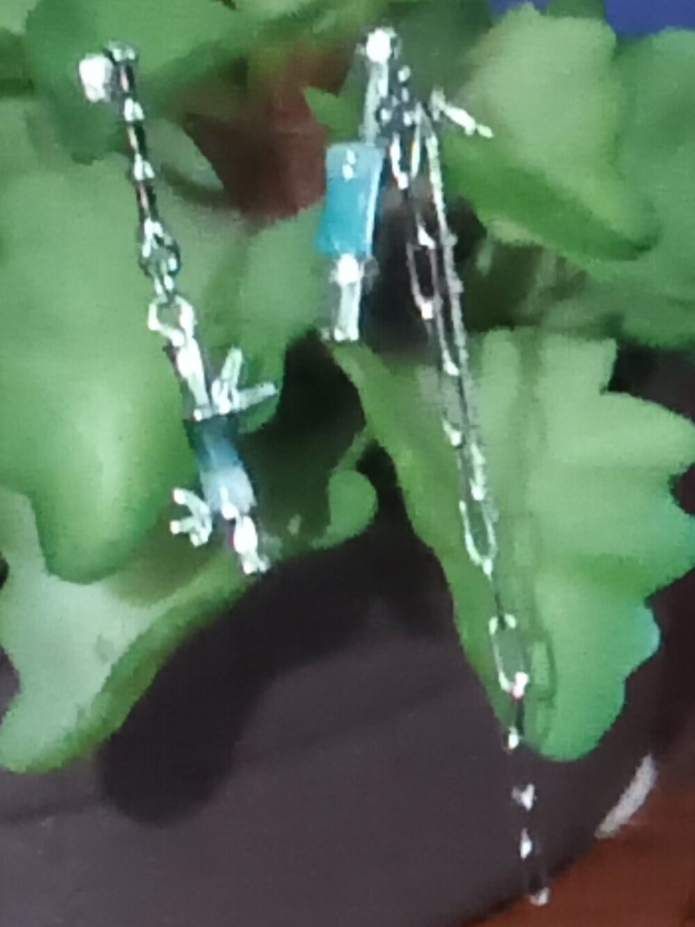 Ladies Earrings